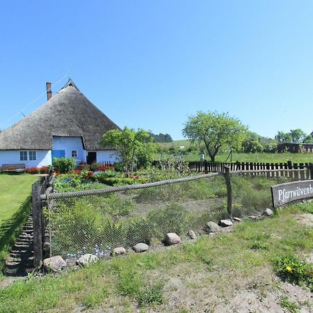 Moderne Ferienwohnung Mit Eigener Terrasse - Haus Inselwind Fewo Meersand Groß Zicker Zewnętrze zdjęcie